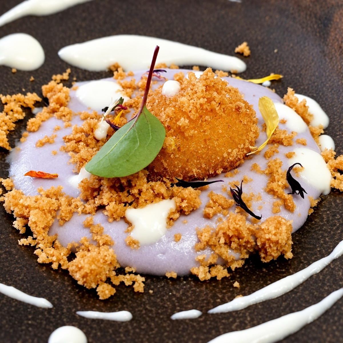 Piatto dalla composizione viola, fotografia reale migliorata del Bistrot del Portico